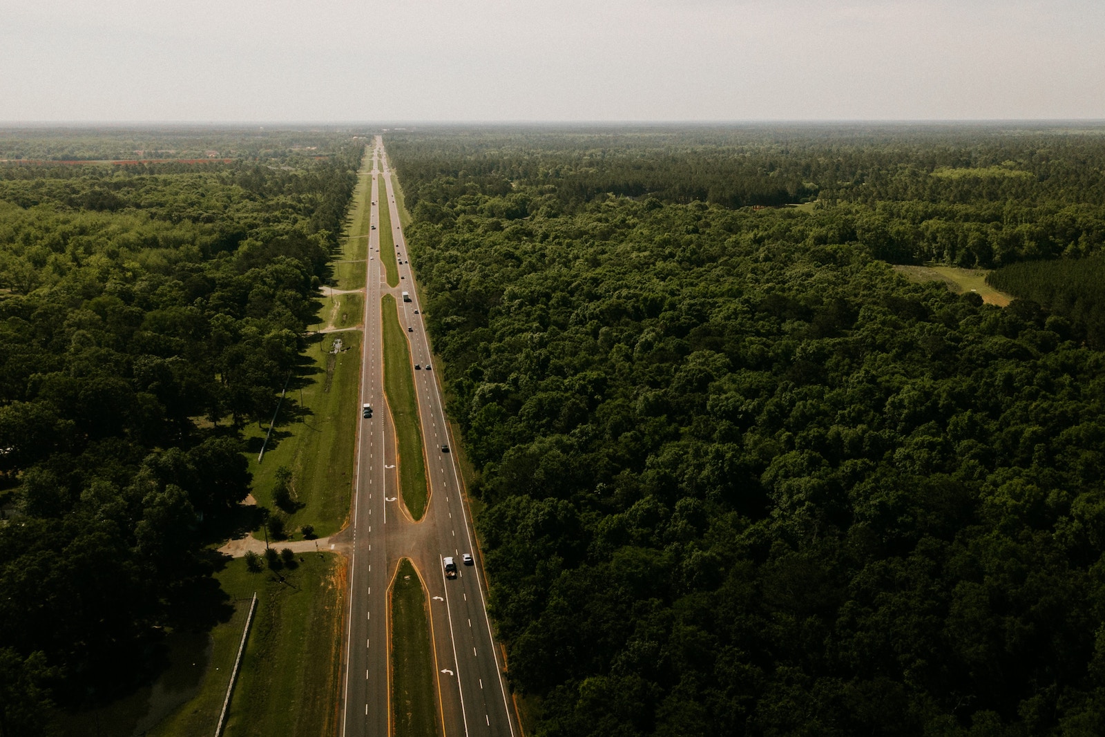 Road through the middle of trees